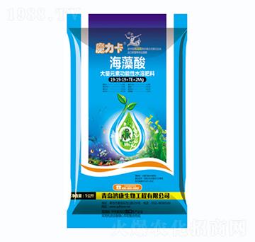 ����Ԫ�ع�����ˮ�ܷ���19-19-19+TE+2Mg-ħ����������-��������