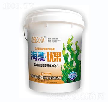 ���塤��(y��u)��-��������