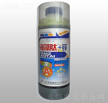 ������+�\-ِ�����