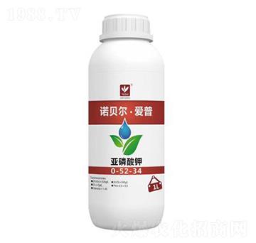 �������0-52-34-�Zؐ������(��i)��-��(l��)����