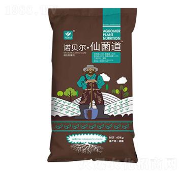 �Zؐ�����ɾ���-��(l��)����