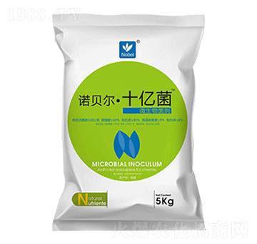 ΢�������-�Zؐ����ʮ�|��-��(l��)����