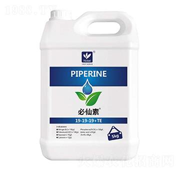 �Zؐ����������19-19-19+TE-��(l��)����