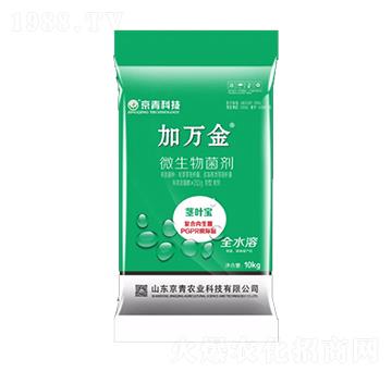 �o�~��΢�������-���f(w��n)��-����Ƽ�