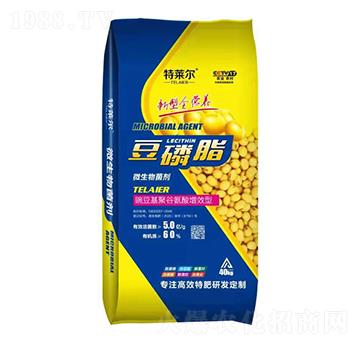 ����֬-���R��