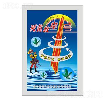 �������1̖(h��o)-��ķ�r(n��ng)�I(y��)