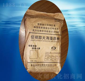 ����������-��������