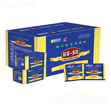 ��һ�������Ƅ�-���ն���-�������