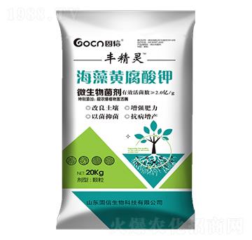 �����S�����-��������