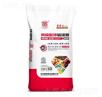 �S�������V��-�����ʘI(y��)