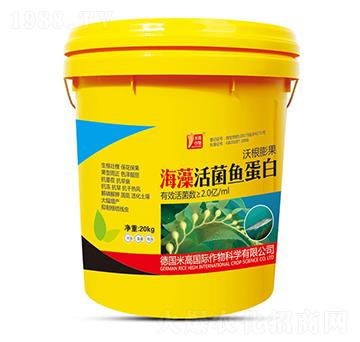 �������~����-ʥ�ϝ�(r��n)