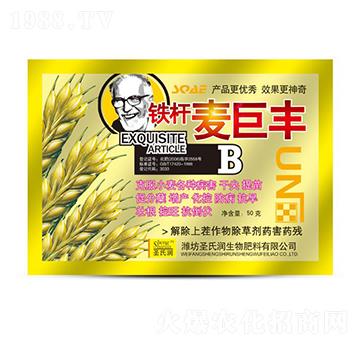 �����S-ʥ�ϝ�