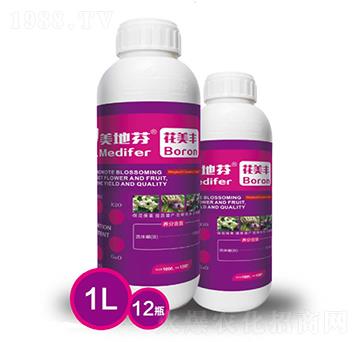 ���طһ����S-���