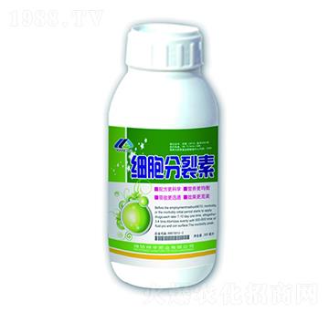 ��(x��)��������-����ʘI(y��)