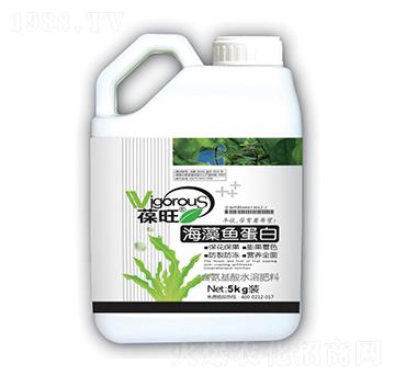 �����~����-����-����ʘI(y��)