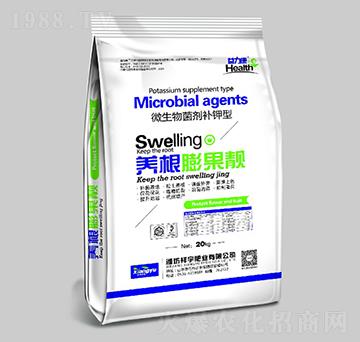 �B(y��ng)������n-����ʘI(y��)