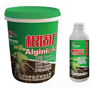 �ͺ�΢�������-������-����ʘI(y��)