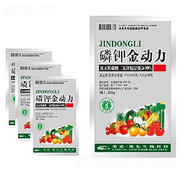 ��⛽�����-������