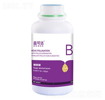 �Ǵ���-����_-�к̄���