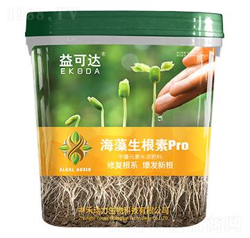 ����������pro-����_-�к̄���