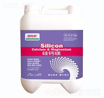 ���}�V-�~���r(n��ng)-�Έ�����