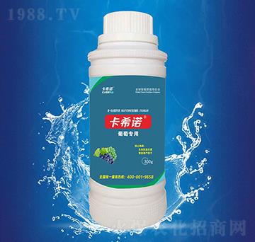 ���ь�(zhu��n)��-��ϣ�Z