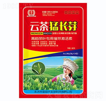 ���~���ô�ѿ������-�Ʋ����Lѿ-�����S