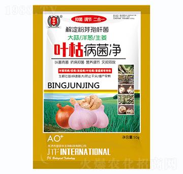 ���������[������-�~�ݲ�����-�����S