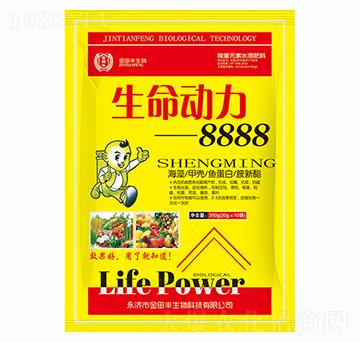 ��������8888-�����S