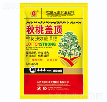 �޻��w픷�-�����w�-�����S