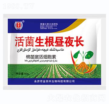 ���������ҹ�L-�����S