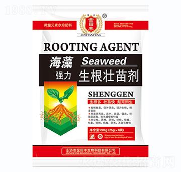 ���及���������焩-�����S