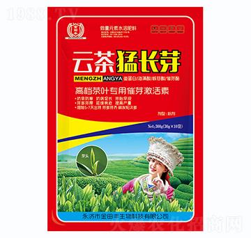 �Ʋ����Lѿ-�����S