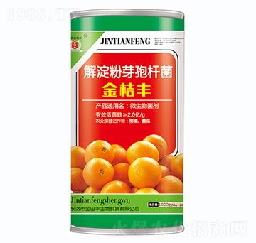 �����ѿ�ߗU��-����S-�����S