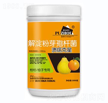 �����ѿ�ߗU��-��������-�����S