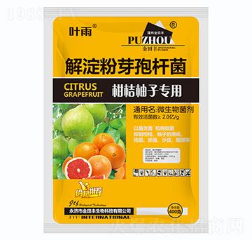 �����ѿ�ߗU��-�̽����ӌ���-�����S