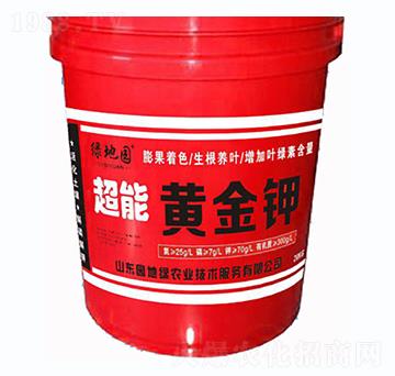 �����S���-�G�؈@