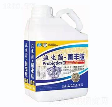 �����������S��-�G�؈@