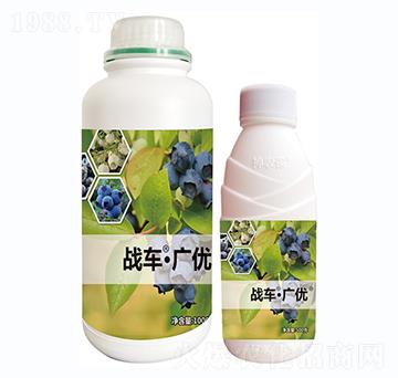 ��(zh��n)܇���V��(y��u)-�{(l��n)ݮ-��(zh��n)܇