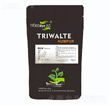 ΢�w�����~��-�D�͵�