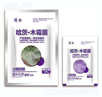 �׷����~ù���ù��ġ�ľù��-���-��(zh��n)܇