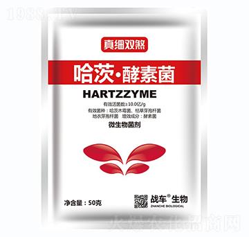 ���ġ����ؾ�-�漚�pɷ-��(zh��n)܇