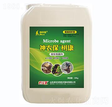 �������z�������Ƅ�-���r�����俵-��(zh��n)܇