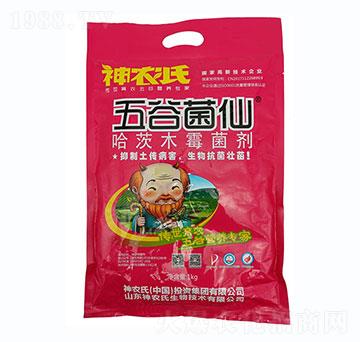 ����ľù��-��Ⱦ���-���r(n��ng)��