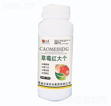 ��ݮ�t��-�h�����I(y��)