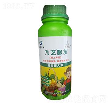 ��ˇ����-��ˇ�G��