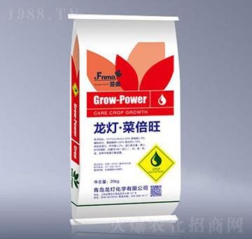 �������˱���-����-����