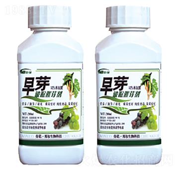 ��ѿ-������