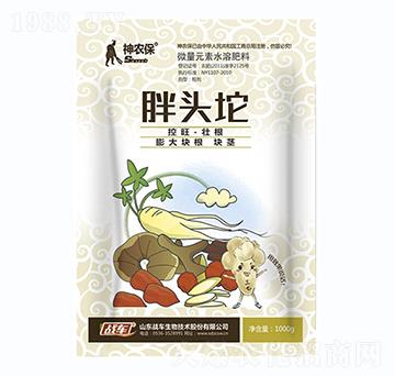 ���^��-��(zh��n)܇