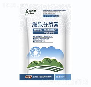 ����������-���r��-��(zh��n)܇